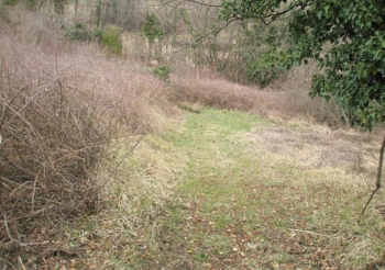 1 P1010131 opt compressed