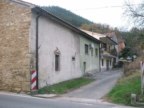 P1010040-opt