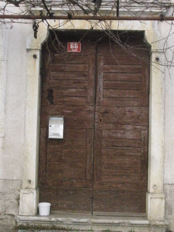 P1010050-opt