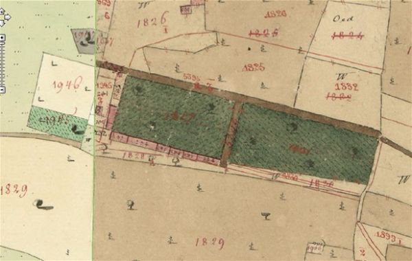Vila Carlisburgo franciscej opt
