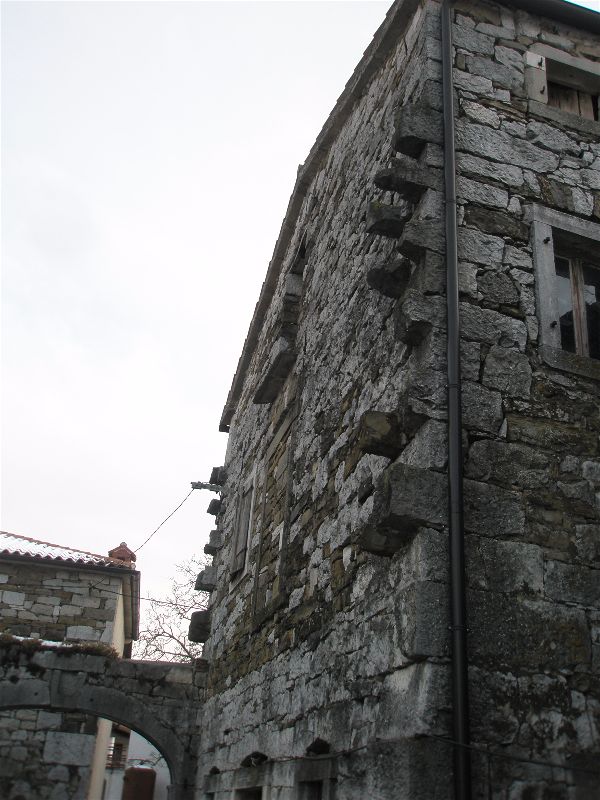 P1010121-opt