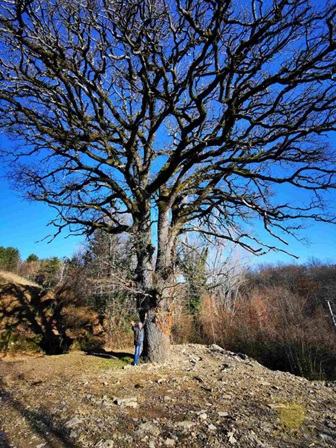 Počiščena okolica