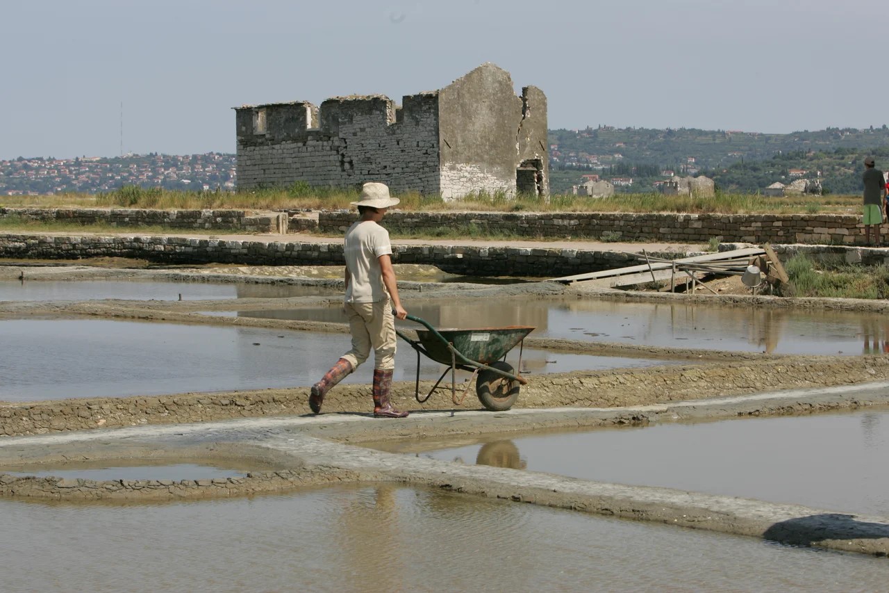 b eli zaklad samokolnica