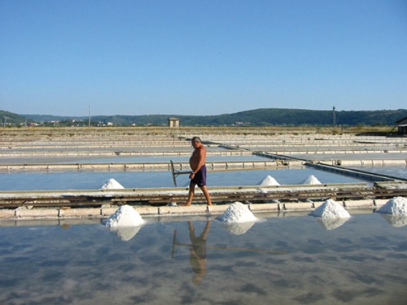 beli zaklad solinska polja