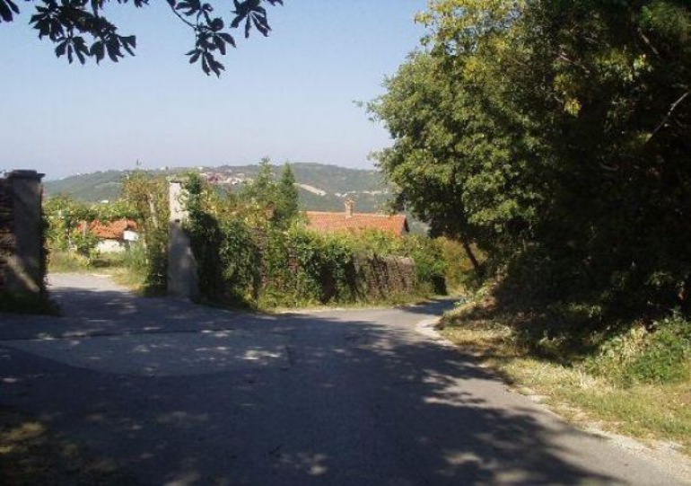 Puberti