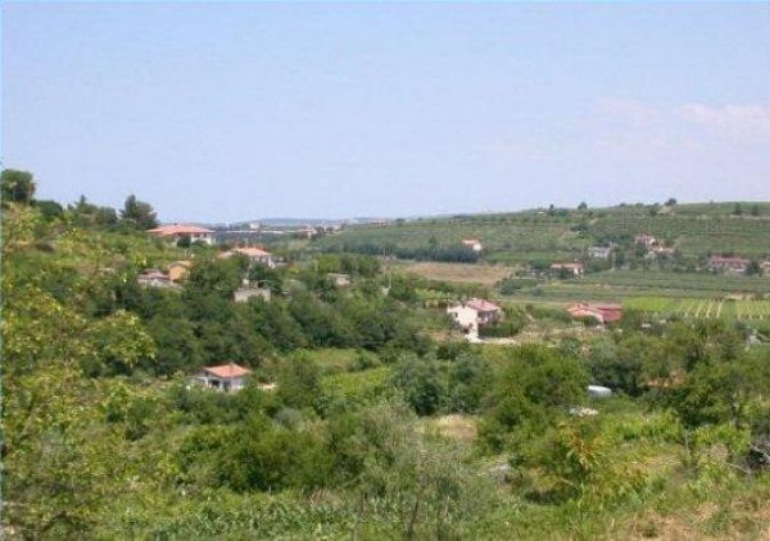 Trikola