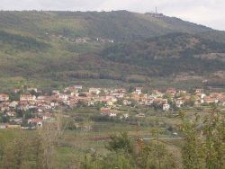 Dekani