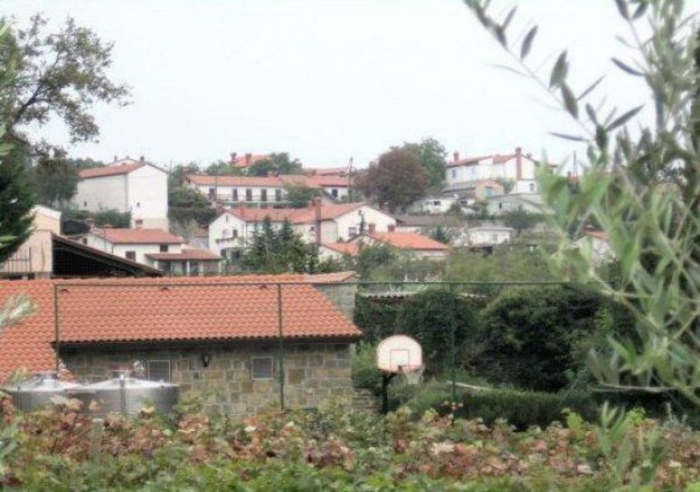 Dogani
