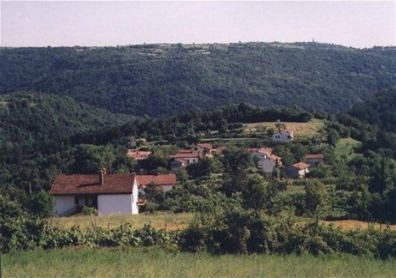 Kozloviči