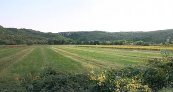 Kulturne in kmetijske površine