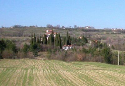 Truške