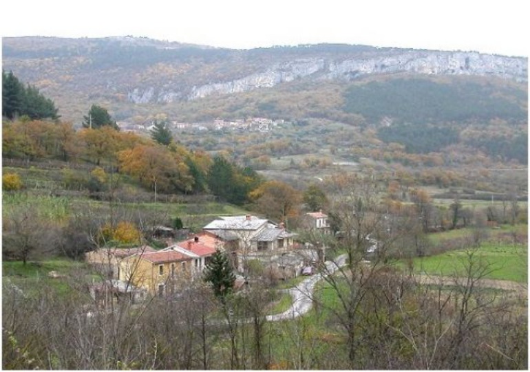 Žgani