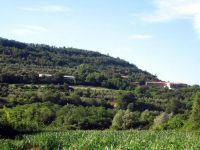 Mačkujek