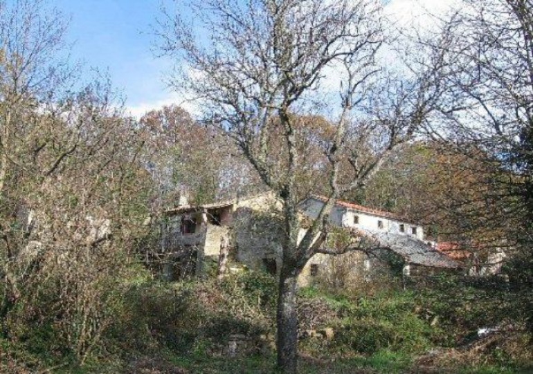 Rokavci