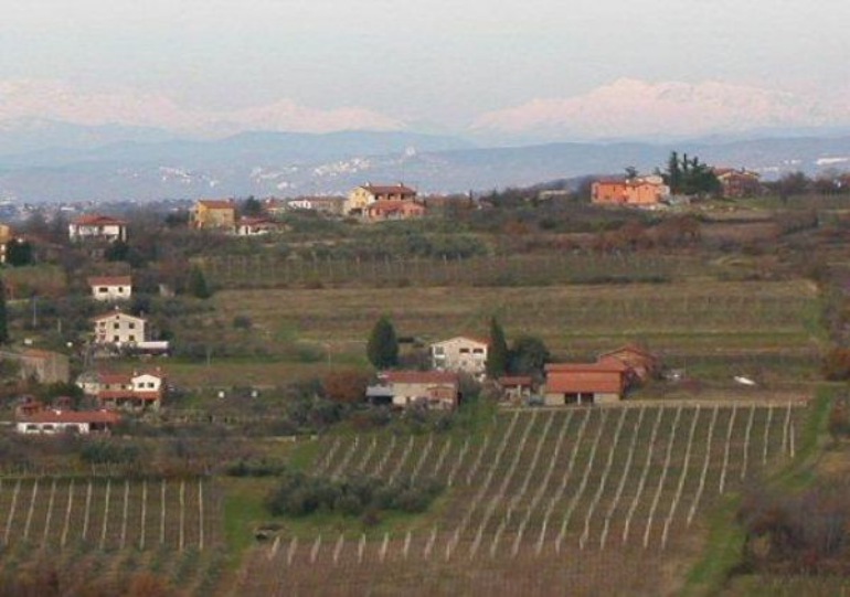 Bečanci