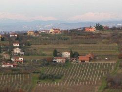 Bečanci