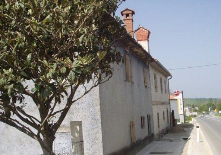 Bivje