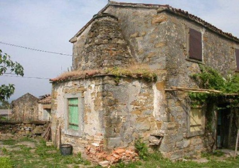 Rojci