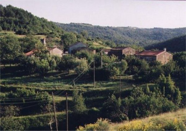 Gonjači