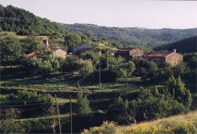 Gonjači