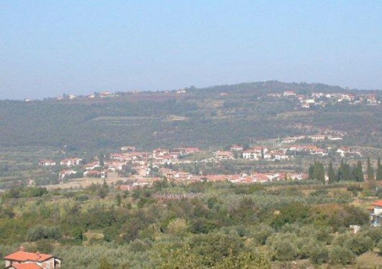 Spodnje Škofije