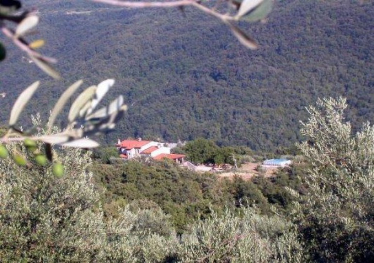 Abrami pri Krkavčah