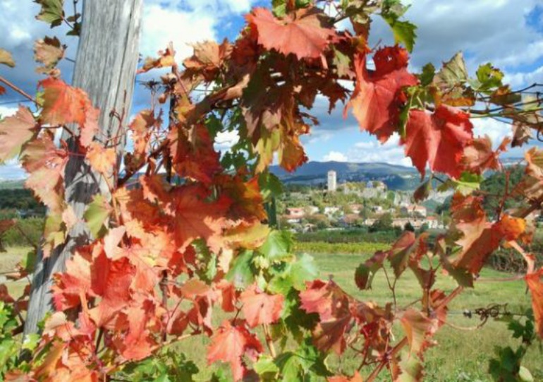 Pot čudovitih razgledov Istre