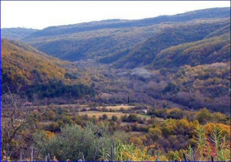 Škrline