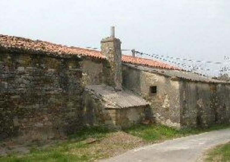 Montinjan